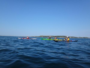 DSC03041